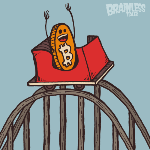 Bitcoin price rollercoaster